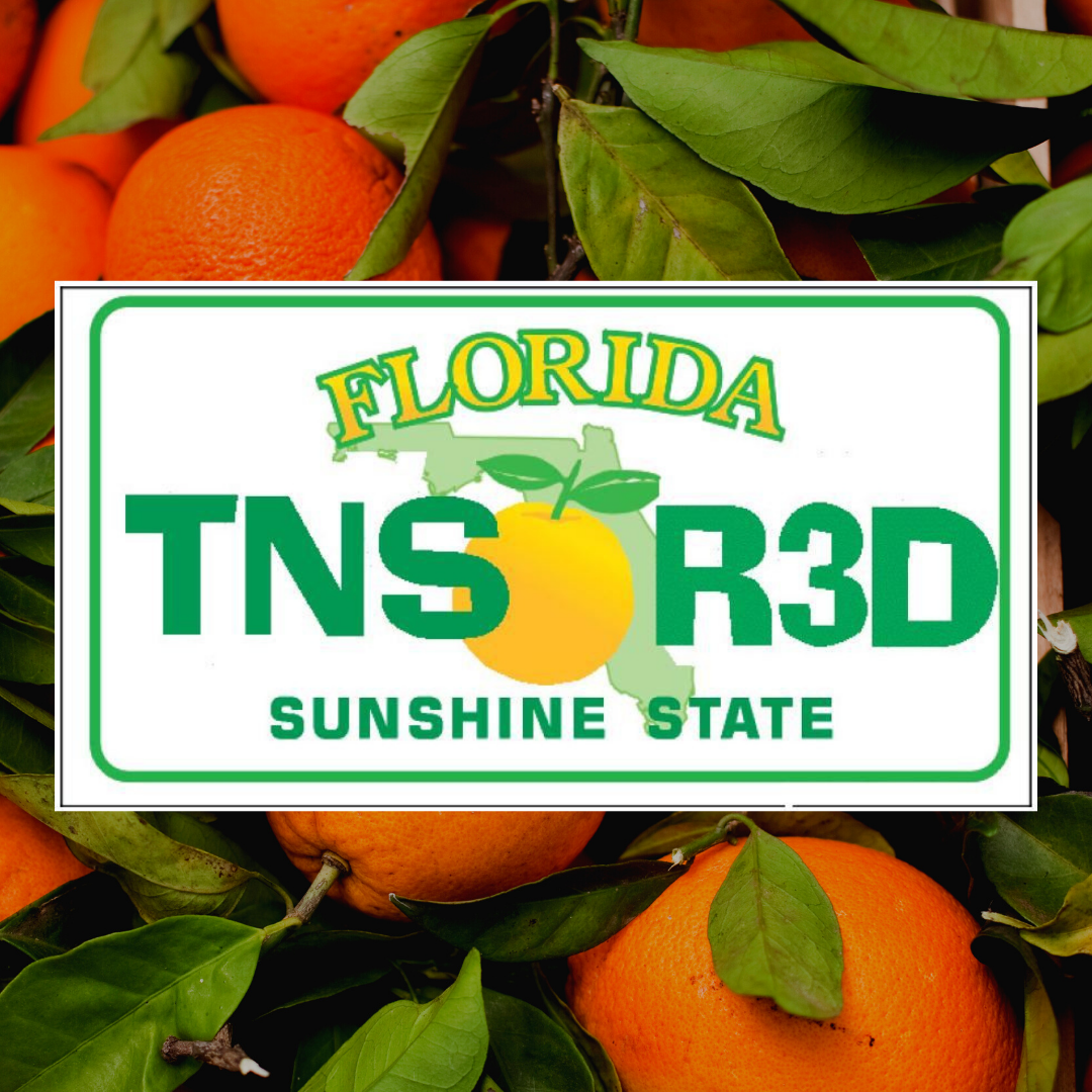 Florida Teen Reads Logo Opens in new window