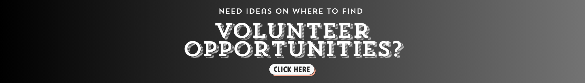 Website Volunteer Opportunities